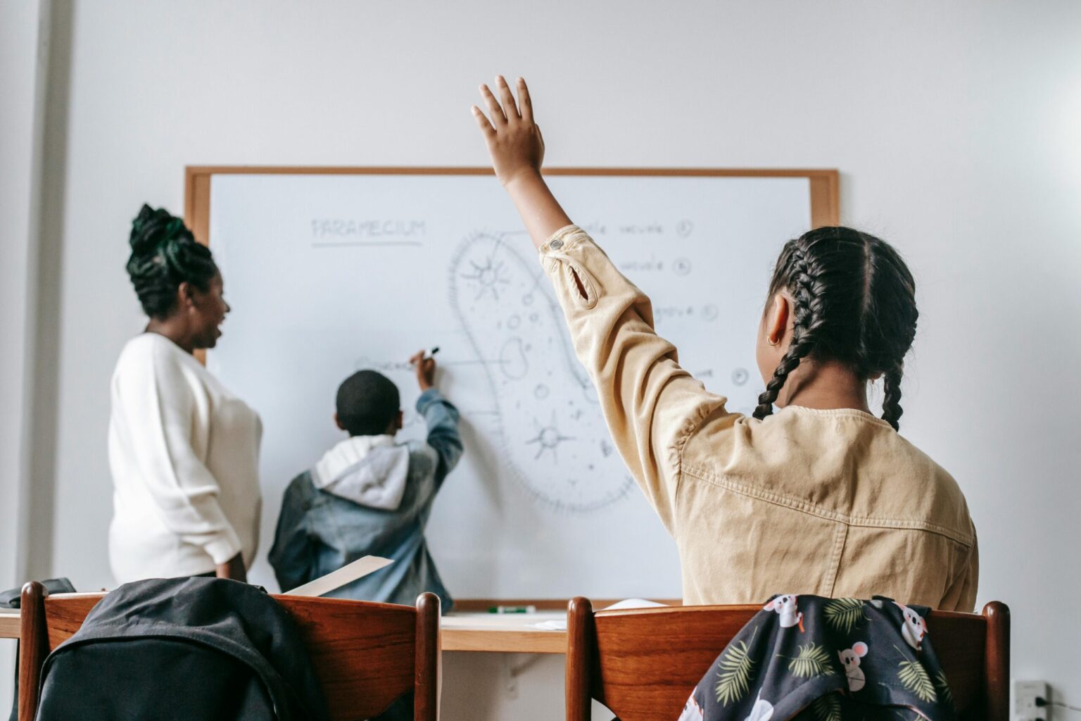 Invest in Education Foundation Announces Anne Lesser as New President ...
